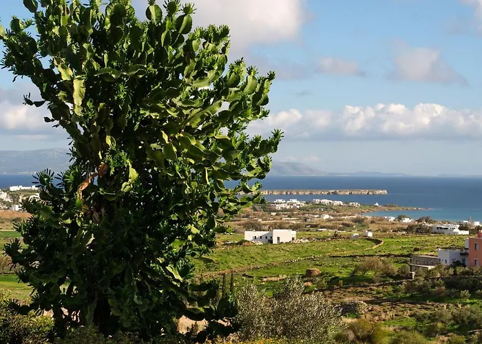 بيت للعطل Casa Marvina كريس أكتي